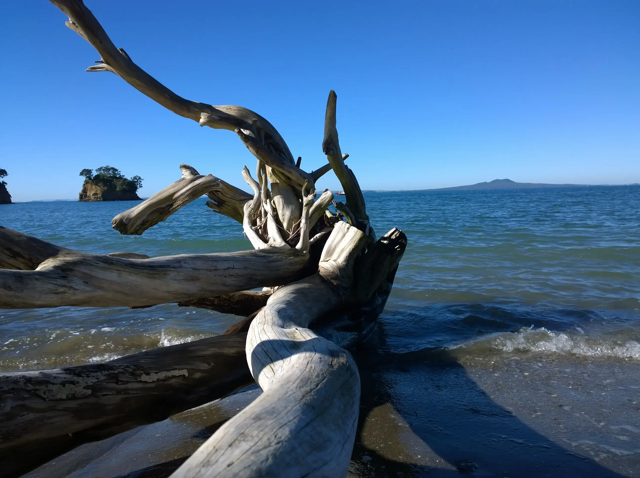 Waiake Beach